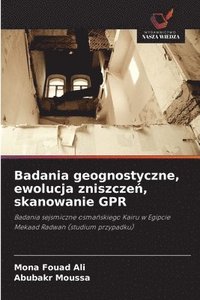 bokomslag Badania geognostyczne, ewolucja zniszcze¿, skanowanie GPR
