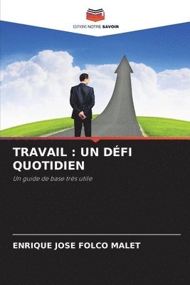bokomslag TRAVAIL : UN DÉFI QUOTIDIEN