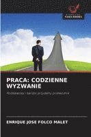 bokomslag Praca: Codzienne Wyzwanie