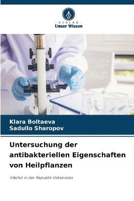 Untersuchung der antibakteriellen Eigenschaften von Heilpflanzen