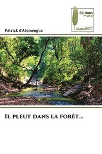 bokomslag Il pleut dans la forêt...