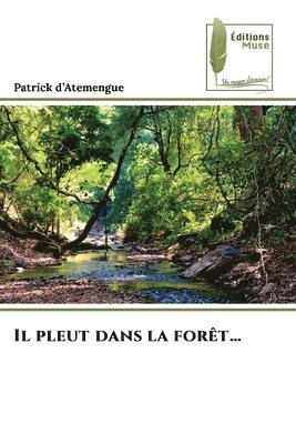 bokomslag Il pleut dans la forêt...
