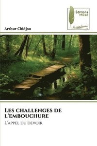bokomslag Les challenges de l'embouchure