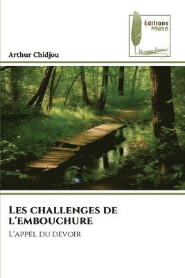 bokomslag Les challenges de l'embouchure