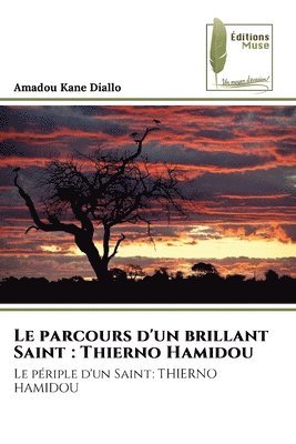 bokomslag parcours d'un brillant Saint