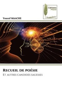 bokomslag Recueil de poésie