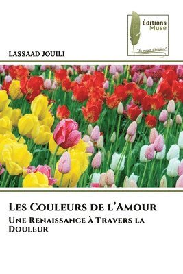 bokomslag Les Couleurs de l'Amour