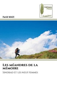 bokomslag Les méandres de la mémoire