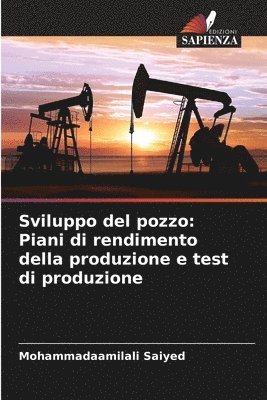 Sviluppo del pozzo