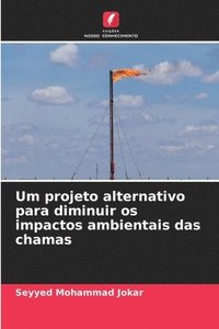 bokomslag Um projeto alternativo para diminuir os impactos ambientais das chamas