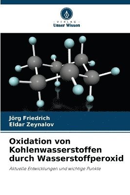 Jörg Friedrich, Eldar Zeynalov - Oxidation von Kohlenwasserstoffen durch Wasserstoffperoxid, Häftad