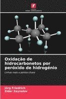 bokomslag Oxidação de hidrocarbonetos por peróxido de hidrogénio