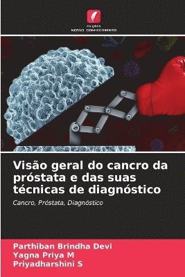 bokomslag Visão geral do cancro da próstata e das suas técnicas de diagnóstico