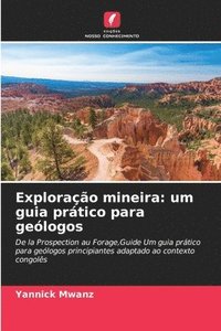 bokomslag Exploração mineira: um guia prático para geólogos