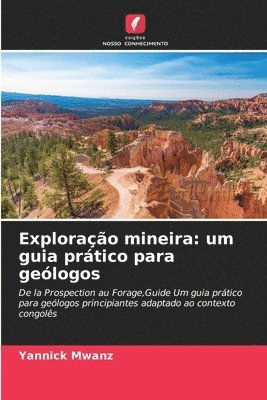 bokomslag Exploração mineira: um guia prático para geólogos
