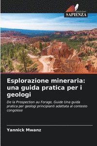 bokomslag Esplorazione mineraria: una guida pratica per i geologi