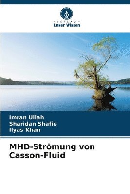 bokomslag MHD-Strömung von Casson-Fluid