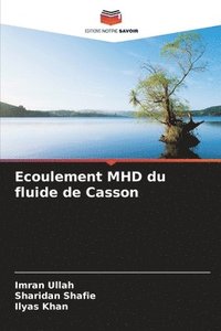 bokomslag Ecoulement MHD du fluide de Casson