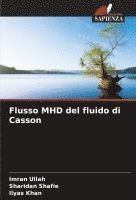 bokomslag Flusso MHD del fluido di Casson