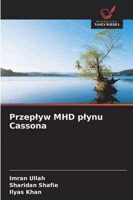 bokomslag Przeplyw MHD plynu Cassona