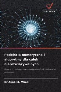bokomslag Podej?cia numeryczne i algorytmy dla calek nierozwi?zywalnych
