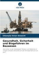 bokomslag Gesundheit, Sicherheit und Biogefahren im Bauwesen