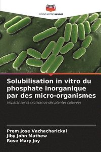 bokomslag Solubilisation in vitro du phosphate inorganique par des micro-organismes