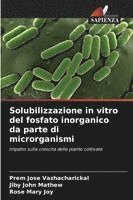 bokomslag Solubilizzazione in vitro del fosfato inorganico da parte di microrganismi