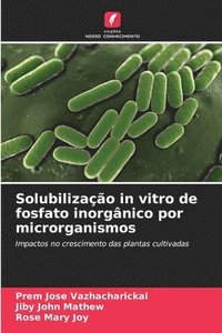 bokomslag Solubilização in vitro de fosfato inorgânico por microrganismos