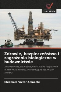 bokomslag Zdrowie, bezpiecze?stwo i zagro?enia biologiczne w budownictwie
