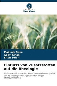 bokomslag Einfluss von Zusatzstoffen auf die Rheologie
