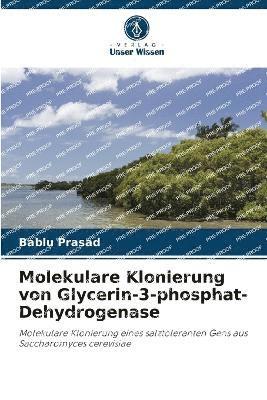 bokomslag Molekulare Klonierung von Glycerin-3-phosphat-Dehydrogenase
