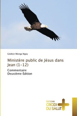 bokomslag Ministère public de Jésus dans Jean (1-12)