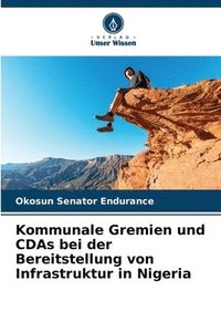 bokomslag Kommunale Gremien und CDAs bei der Bereitstellung von Infrastruktur in Nigeria