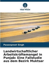 bokomslag Landwirtschaftlicher Arbeitskräftemangel in Punjab