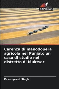 bokomslag Carenza di manodopera agricola nel Punjab