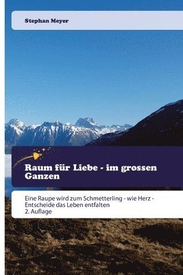 Stephan Meyer - Raum für Liebe - im grossen Ganzen, Häftad