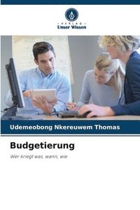 bokomslag Budgetierung