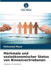 bokomslag Merkmale und sozioökonomischer Status von Binnenvertriebenen