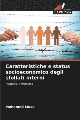 Mohamed Muse - Caratteristiche e status socioeconomico degli sfollati interni, Häftad