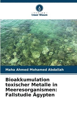 bokomslag Bioakkumulation toxischer Metalle in Meeresorganismen: Fallstudie Ägypten
