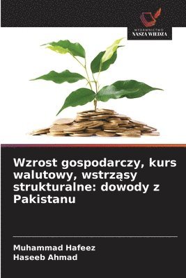 bokomslag Wzrost gospodarczy, kurs walutowy, wstrz?sy strukturalne: dowody z Pakistanu