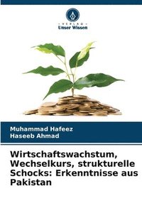 bokomslag Wirtschaftswachstum, Wechselkurs, strukturelle Schocks: Erkenntnisse aus Pakistan