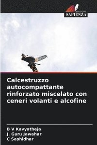 bokomslag Calcestruzzo autocompattante rinforzato miscelato con ceneri volanti e alcofine