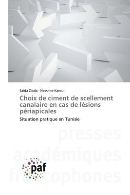bokomslag Choix de ciment de scellement canalaire en cas de lésions périapicales