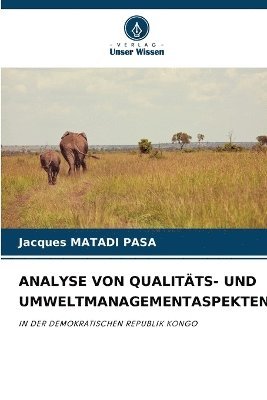 Jacques Matadi Pasa, Jacques MATADI PASA - Analyse Von Qualitäts- Und Umweltmanagementaspekten, Häftad