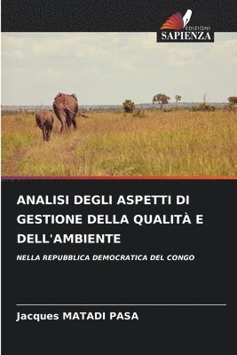 bokomslag Analisi Degli Aspetti Di Gestione Della Qualità E Dell'ambiente