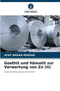 bokomslag Goethit und Hämatit zur Verwertung von Zn (II)