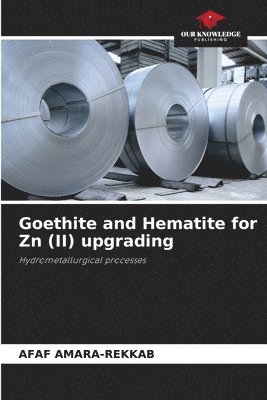 bokomslag Amara-Rekkab, A: Goethite and Hematite for Zn (II) upgrading