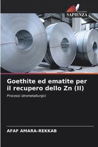 bokomslag Goethite ed ematite per il recupero dello Zn (II)